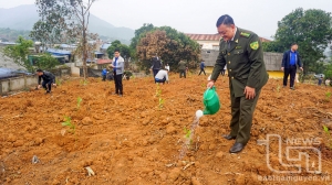 To plant over 1.1 million trees