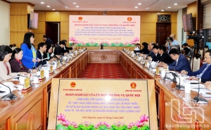 Monitoring the implementation of policies on high-quality human resource development