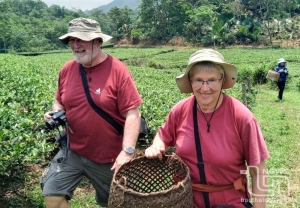 Tea land and impressions of international visitors