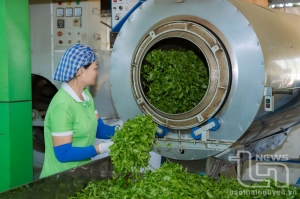 195 Thai Nguyen tea products meet national OCOP standards
