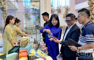Promoting Thai Nguyen tourism in Hai Phong and Quang Ninh