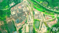 Nui Phao Pioneers Mine Rehabilitation and Reforestation