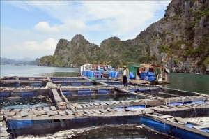 Focal tasks, solutions specified to aid post-typhoon recovery, economic growth