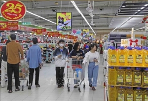 Inflation tamed but risks remain: experts