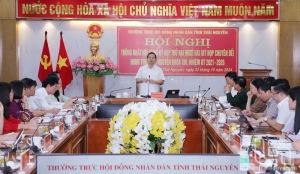 Agreeing on content of the Twenty-second Session of the 14th Provincial People's Council