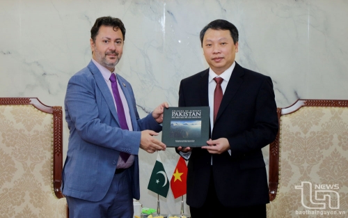 Thai Nguyen Tea Export Agreement with Pakistan will be signed soon