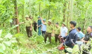 Promoting forest protection and development in Sang Moc commune