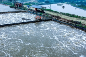 Masan High-Tech Materials recognized as a "Sustainable Business" for seven consecutive years