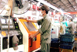 Thai Nguyen to strive for 7000 billion VND of industrial production in 2007
