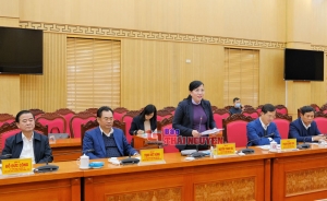Him Lam Corporation proposes investment projects in Thai Nguyen