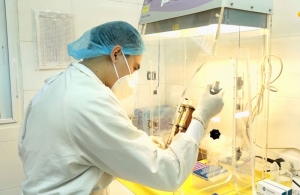 Thai Nguyen city has 49,500 negative samples in community 